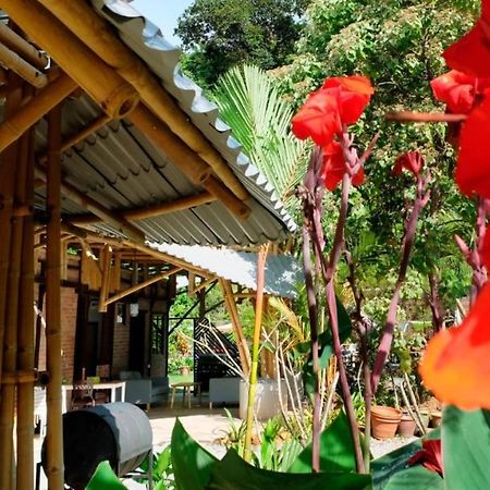 Bamboo Cottage Langkawi Pantai Cenang  Buitenkant foto