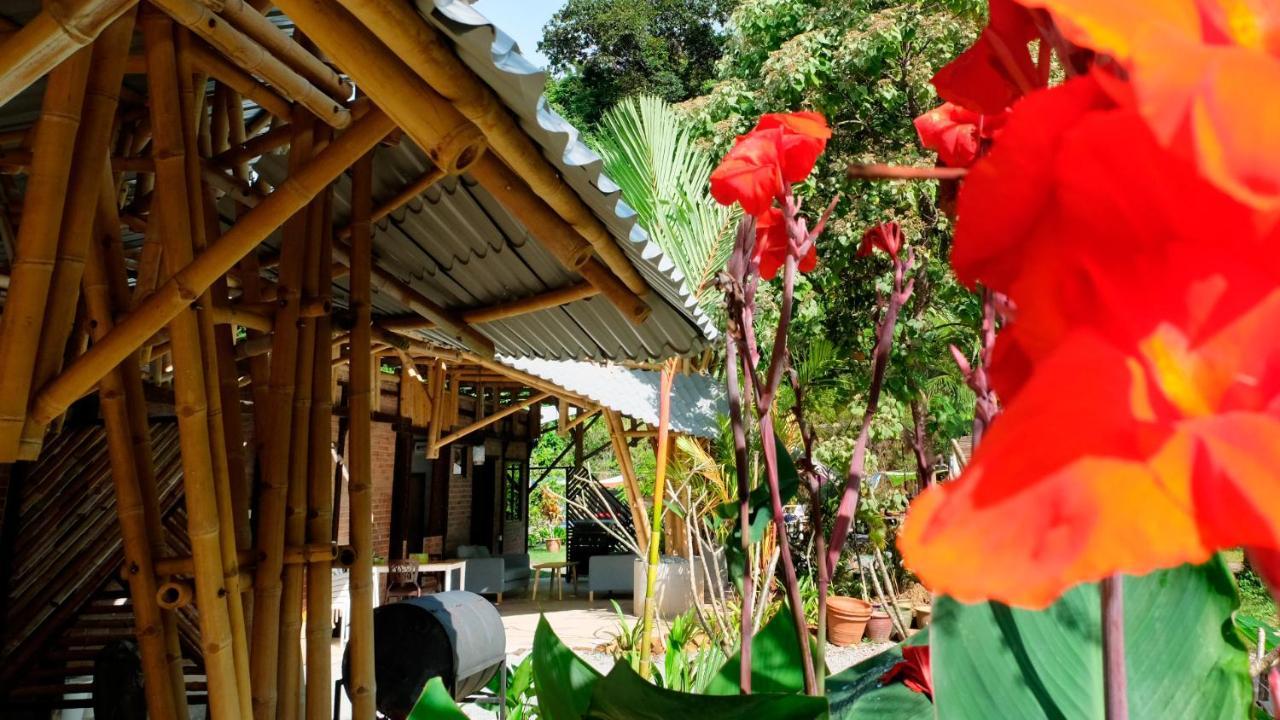 Bamboo Cottage Langkawi Pantai Cenang  Buitenkant foto